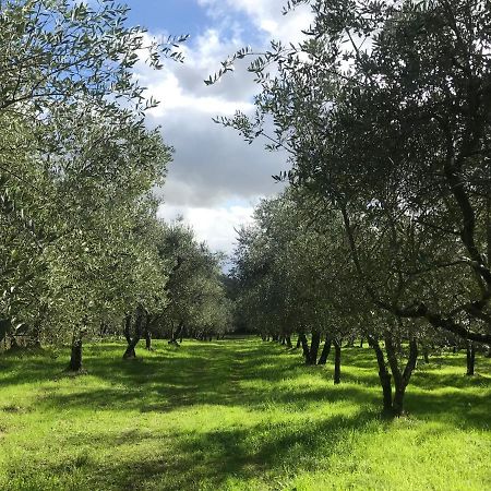 Agriturismo Podere I' Caldino Troghi Екстер'єр фото