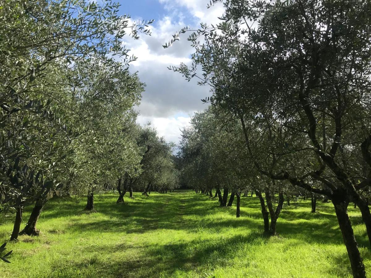 Agriturismo Podere I' Caldino Troghi Екстер'єр фото